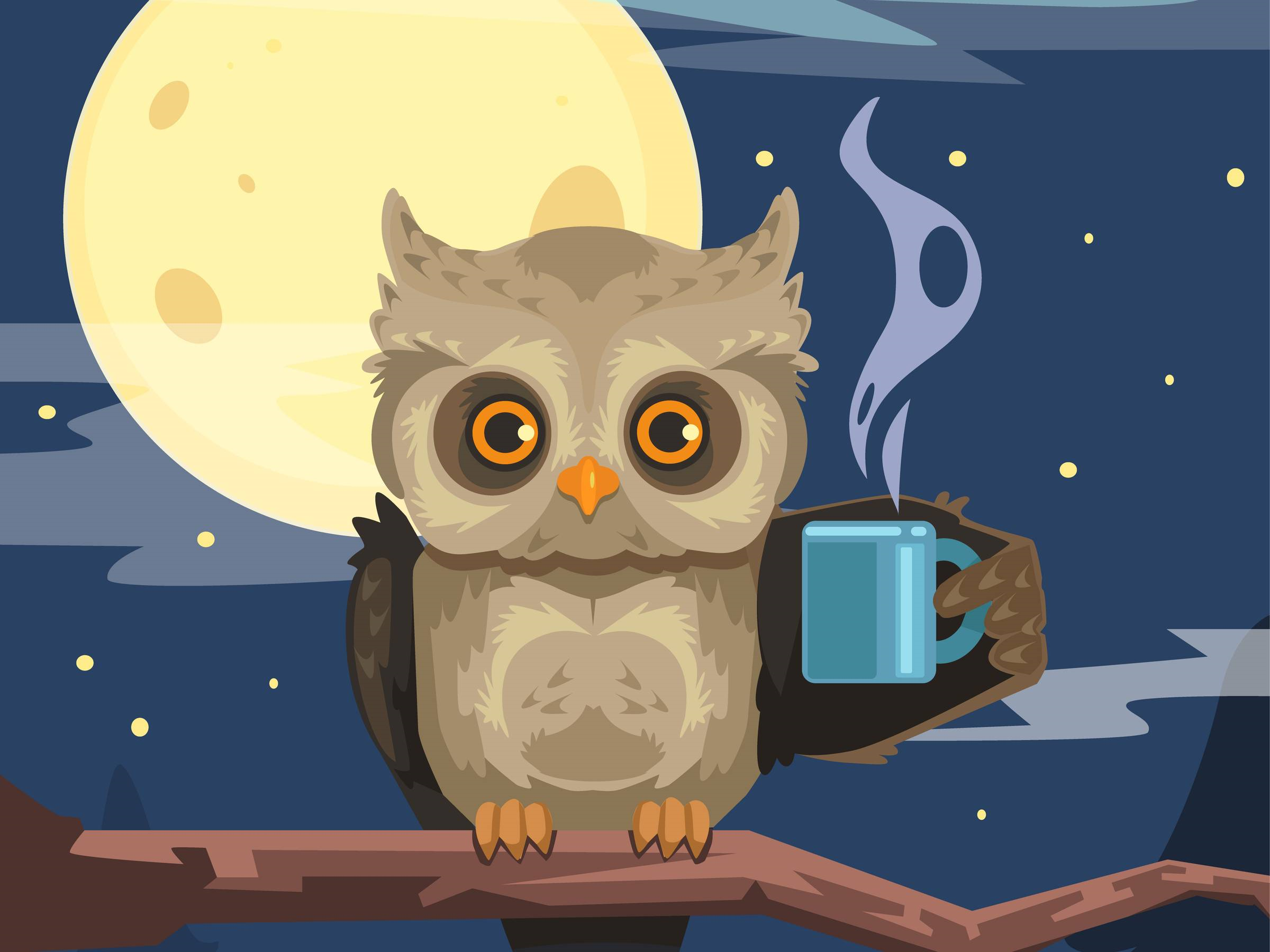 Night Owl Visual Studio Marketplace